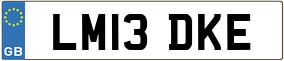Trailer License Plate